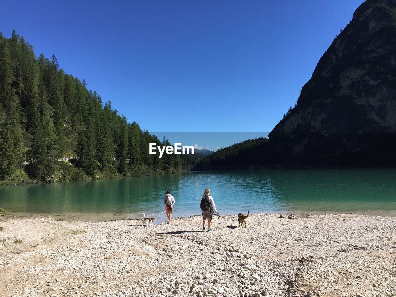 Women with dogs at lakeshore against clear blue sky