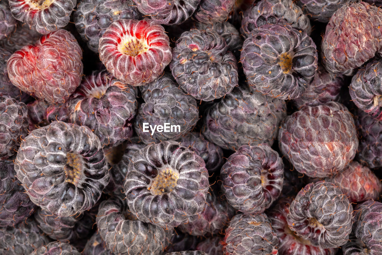 FULL FRAME SHOT OF FRESH FRUITS