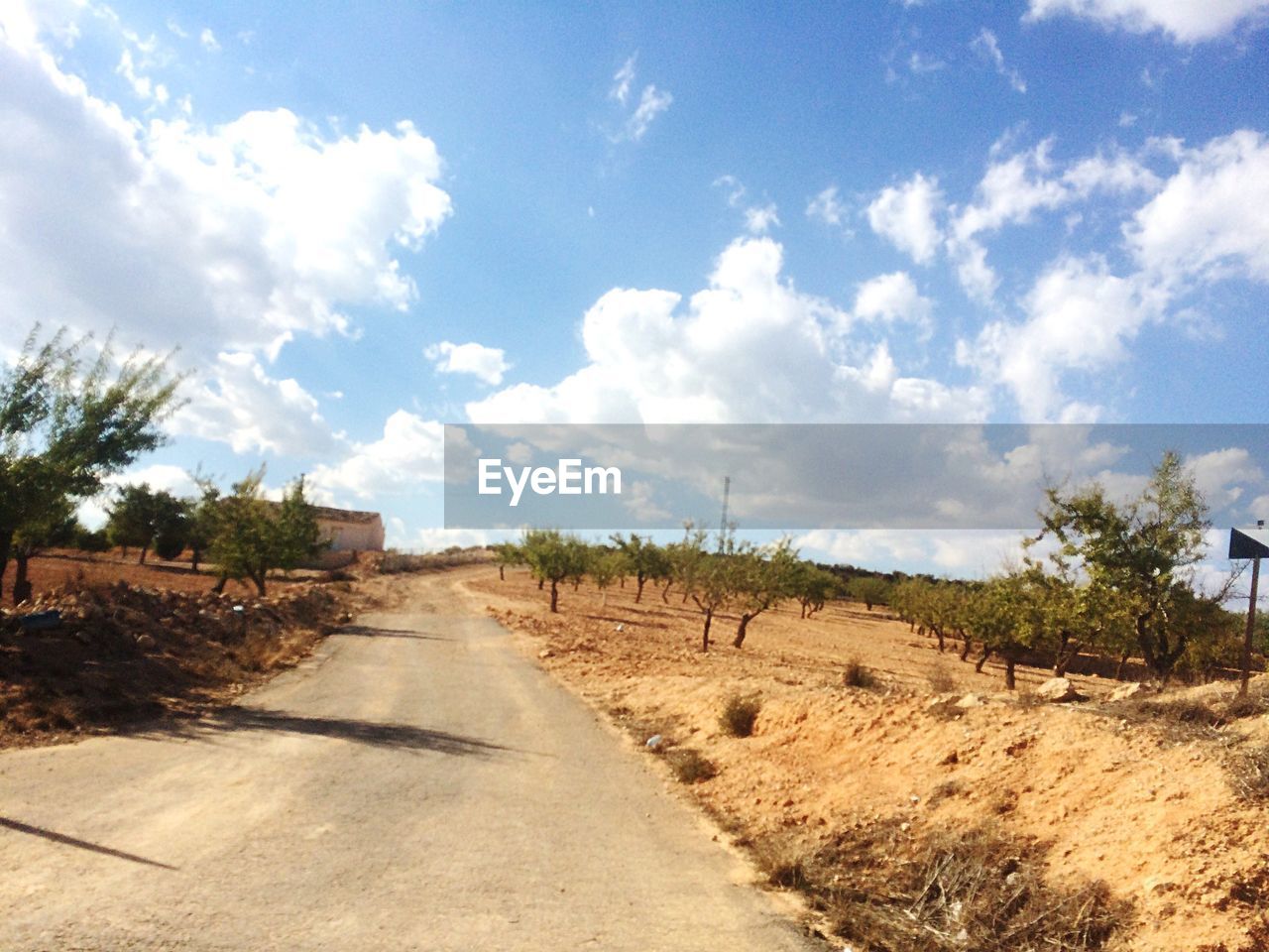 DIRT ROAD ALONG COUNTRYSIDE LANDSCAPE