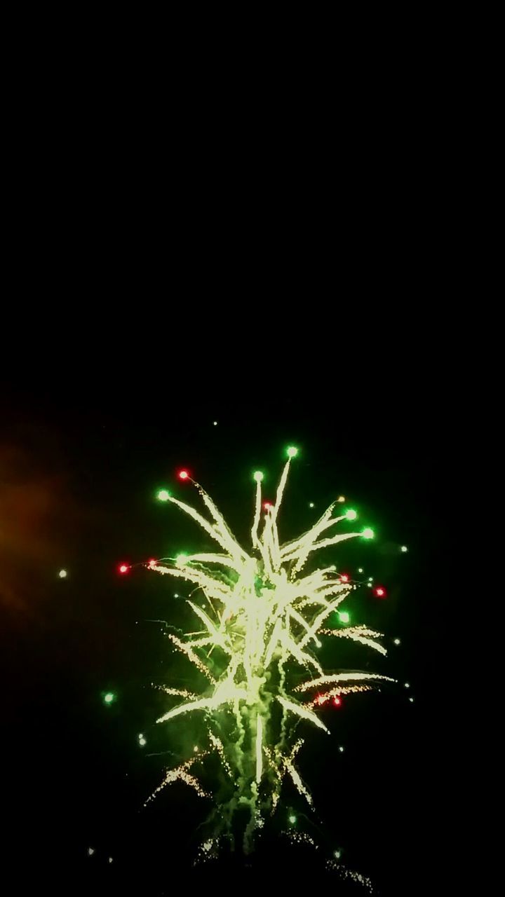 LOW ANGLE VIEW OF ILLUMINATED FIREWORK DISPLAY