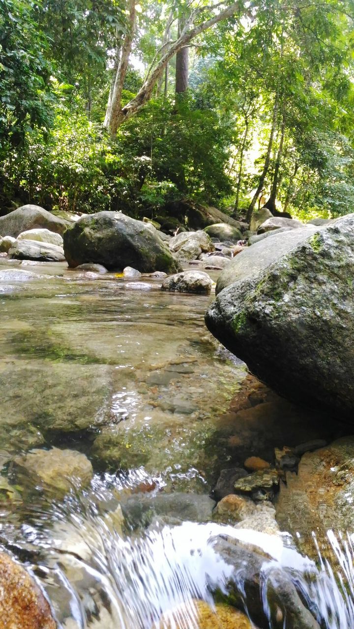 SURFACE LEVEL OF STREAM FLOWING IN FOREST