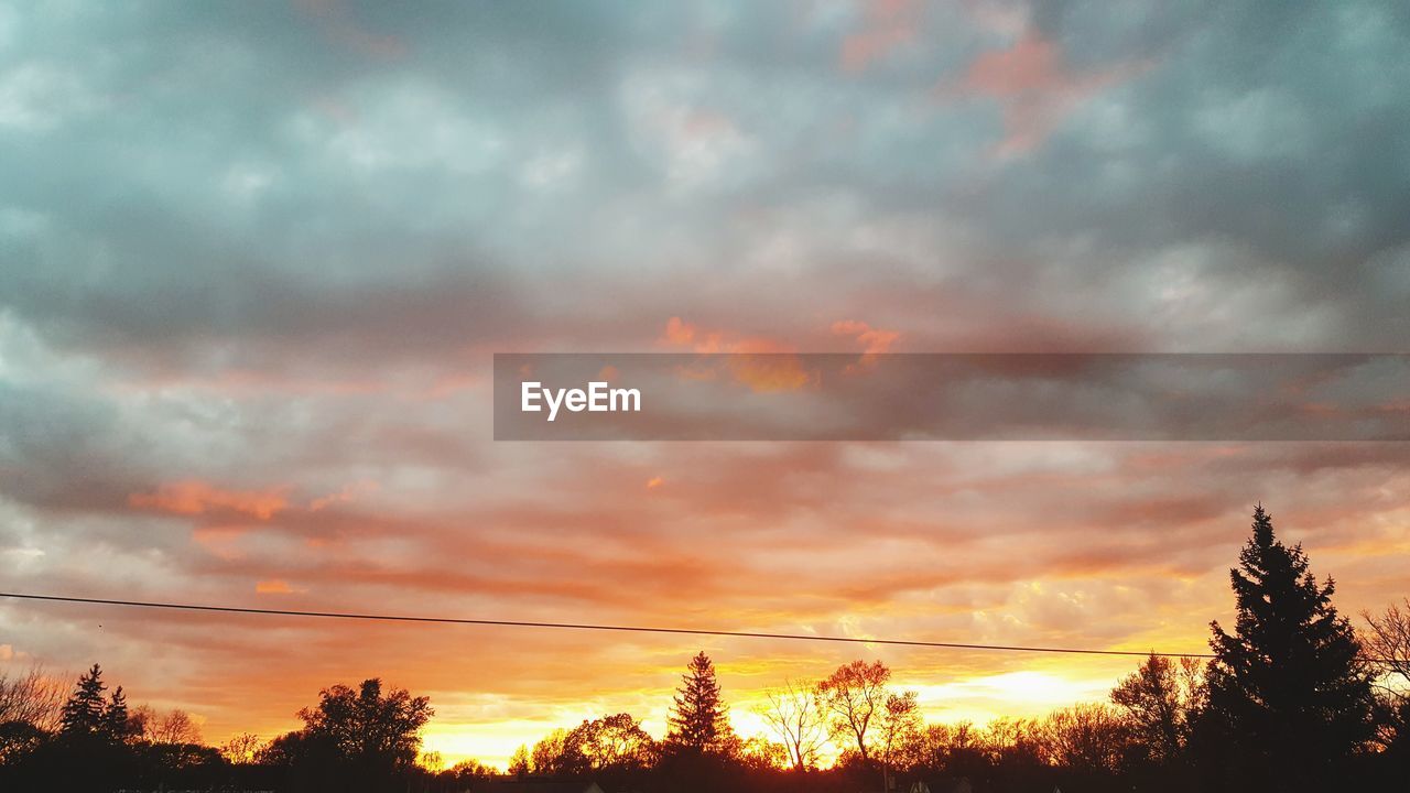 SILHOUETTE OF TREES AGAINST DRAMATIC SKY