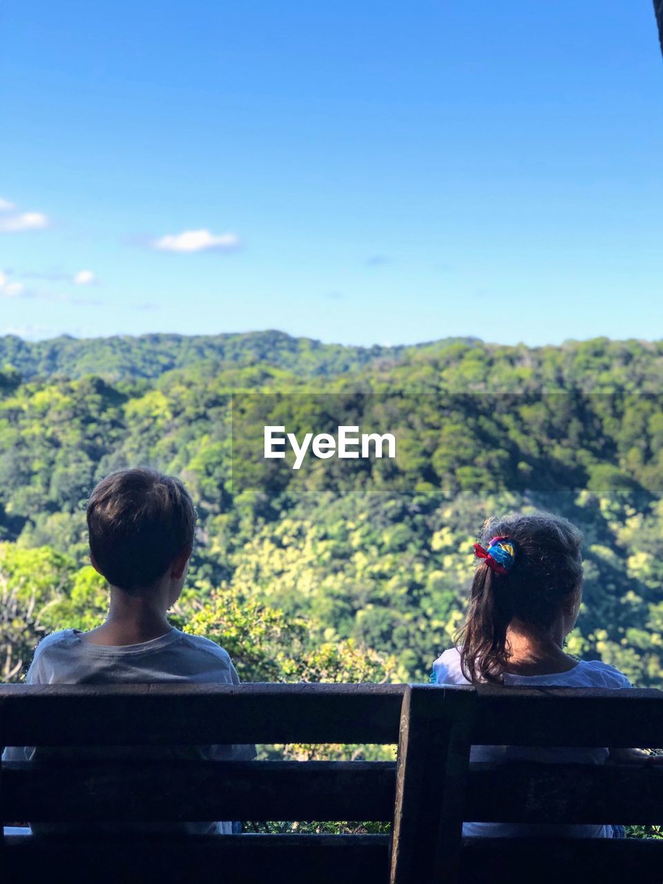 Rear view of siblings sitting on bench against sky