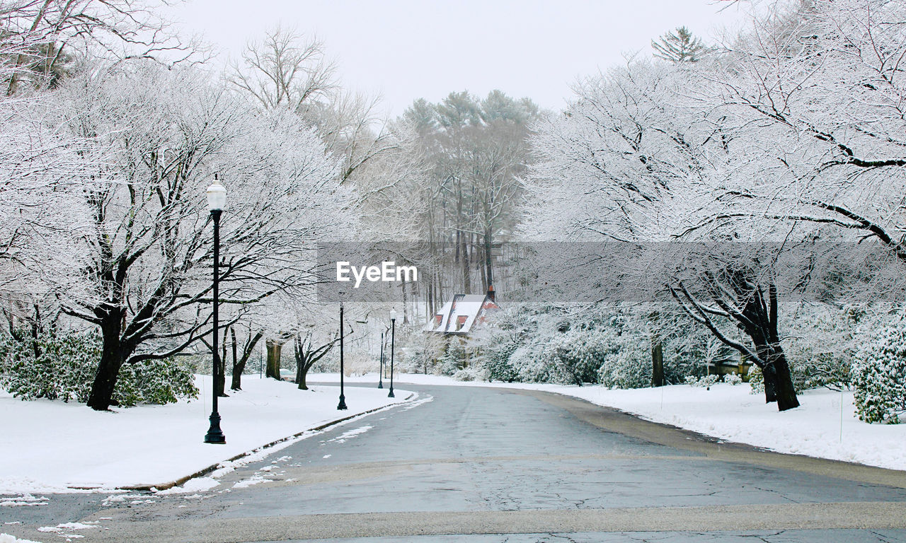 Snowy road amidst trees