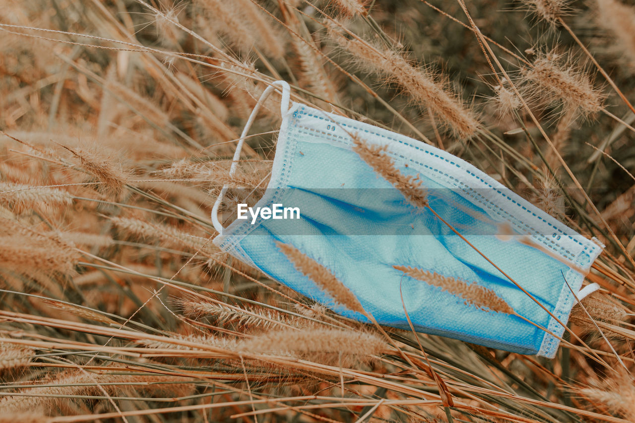 Close-up of surgical mask amidst crop