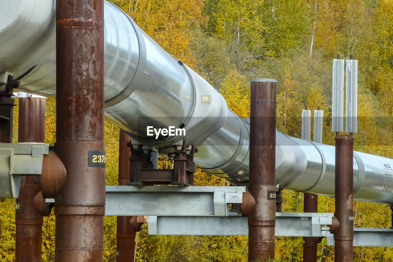 Trans alaska pipeline in fall, steese highway, alaska