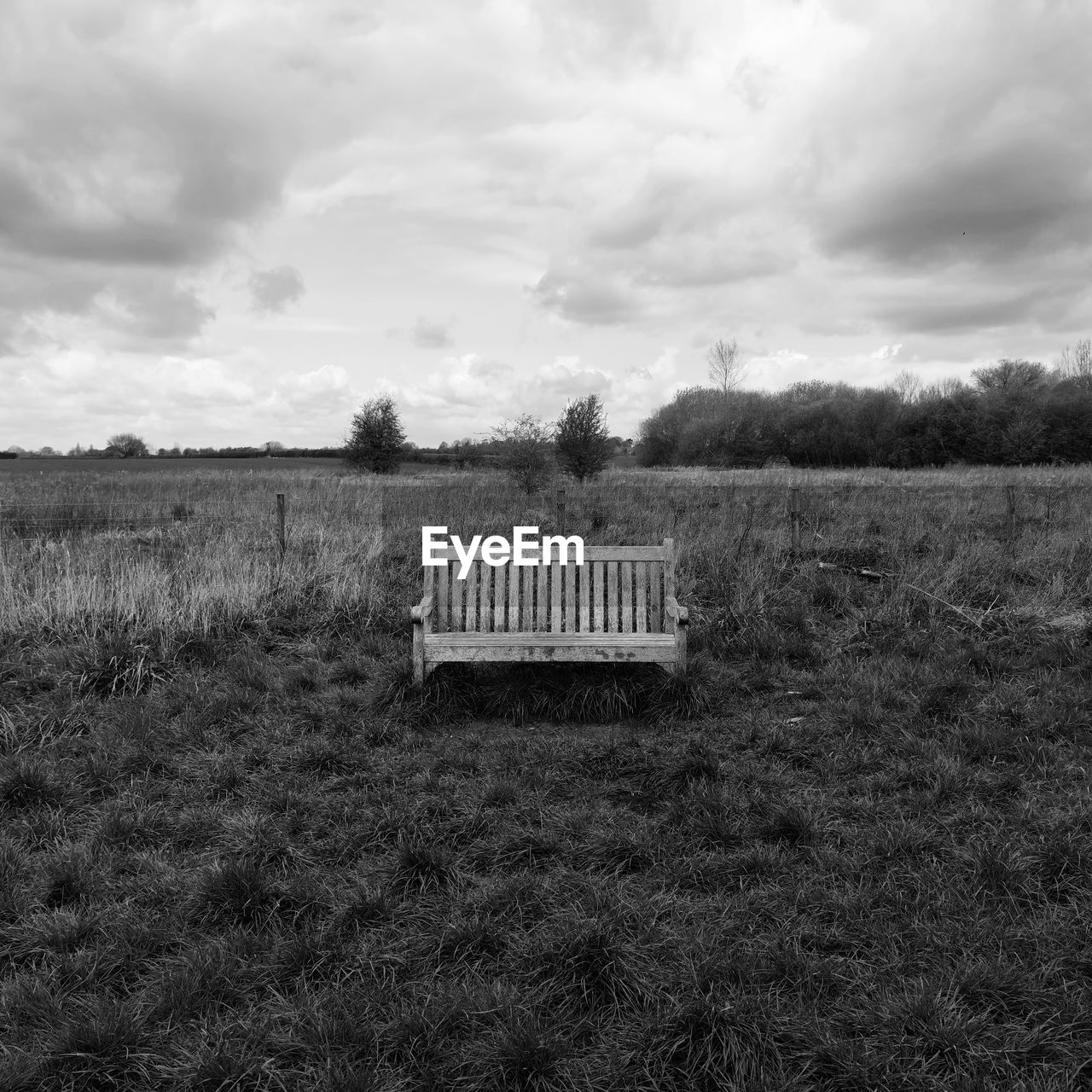 A minimalist image of a bench in the english countryside