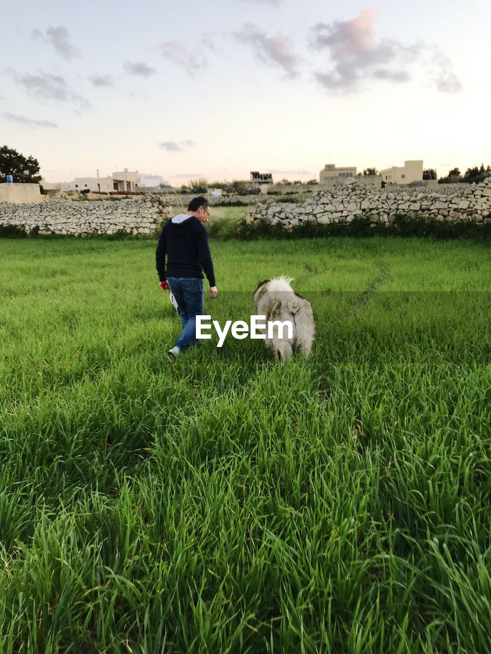 Rear view of man walking with dog on grassy field