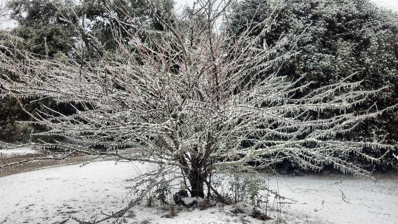 VIEW OF SNOW COVERED FIELD