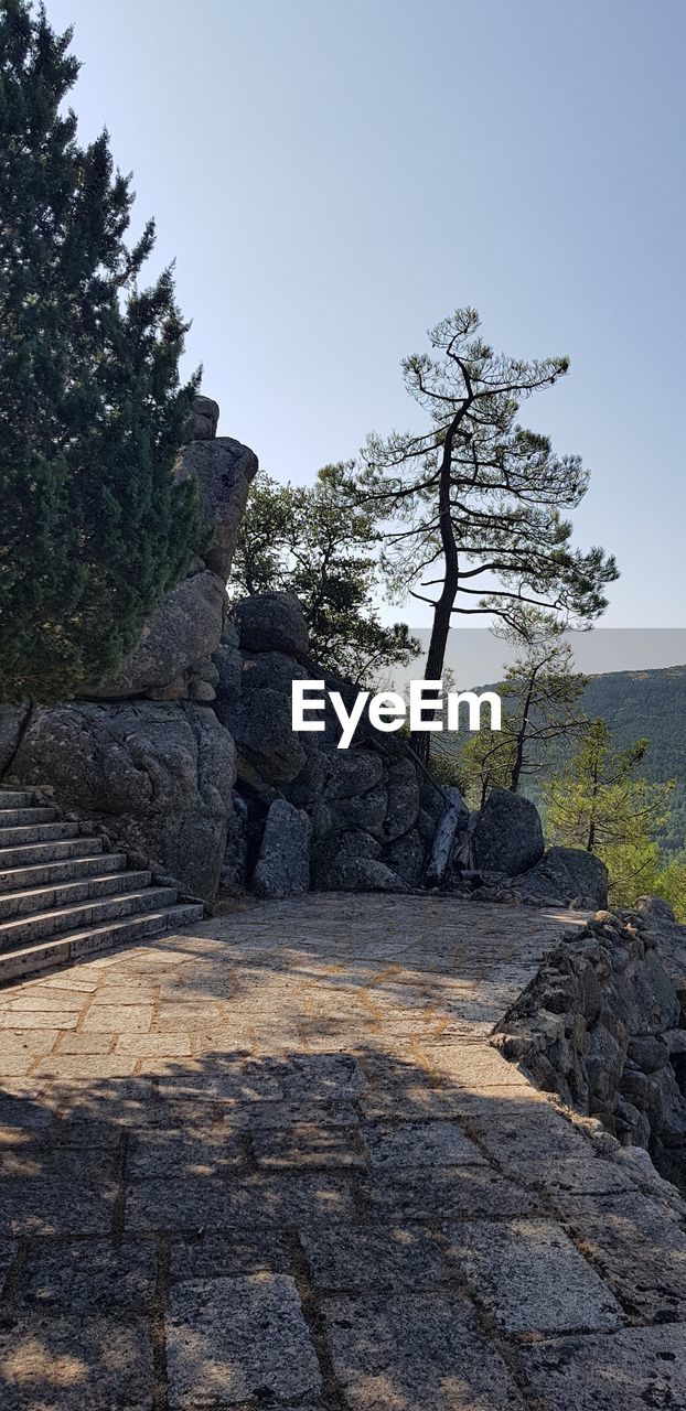 Rock formation amidst trees against clear sky