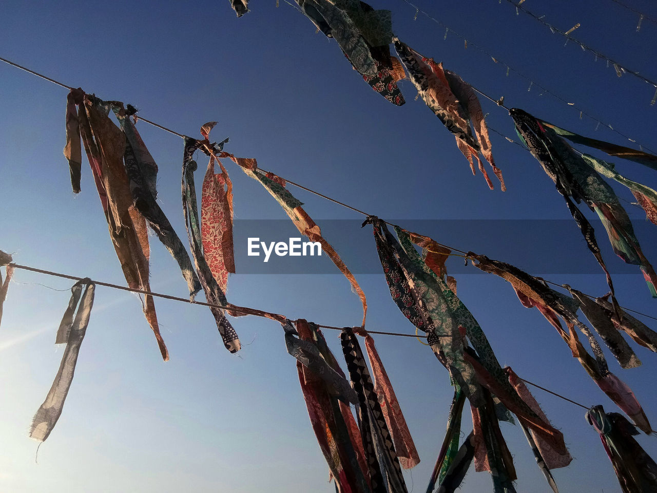 LOW ANGLE VIEW OF DRY LEAVES ON BRANCH