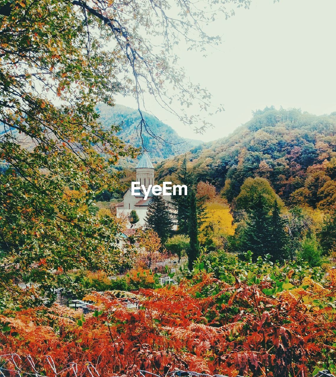 Distant church surrounded by lush foliage in autumn