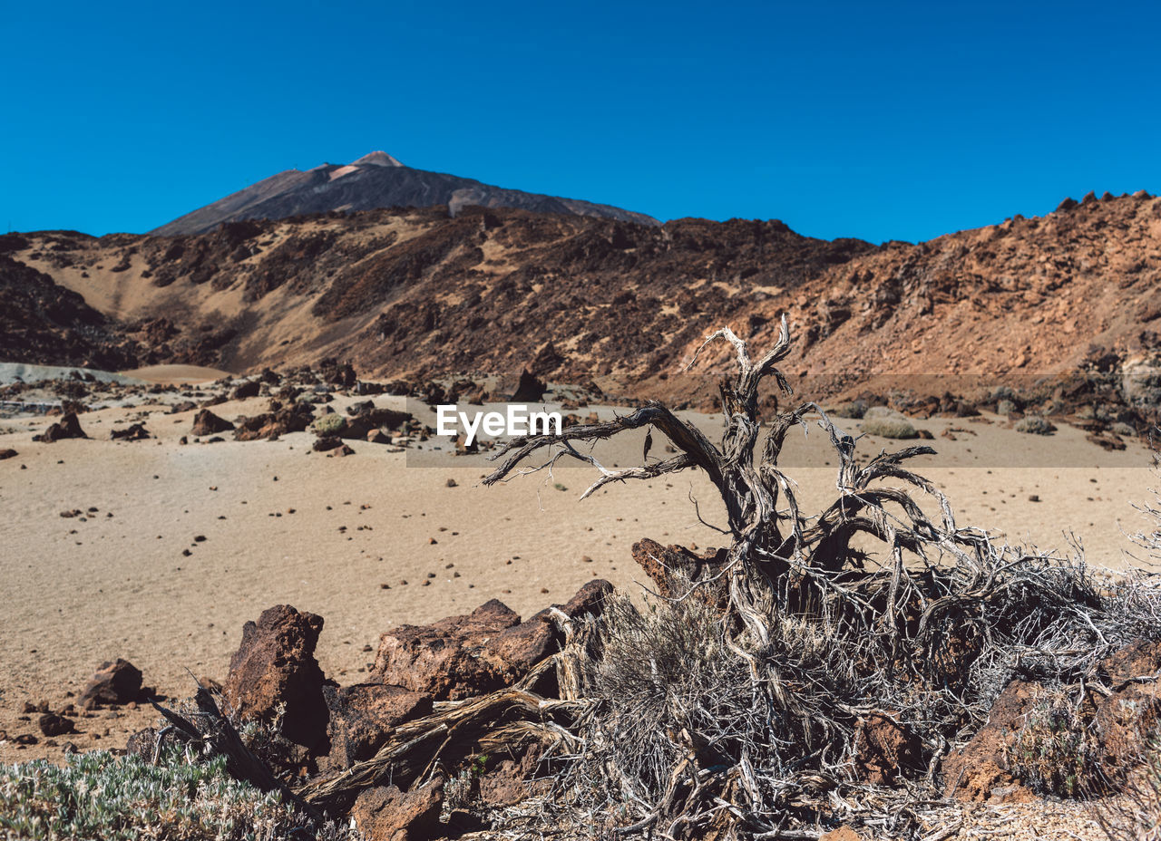 Scenic view of desert against clear sky