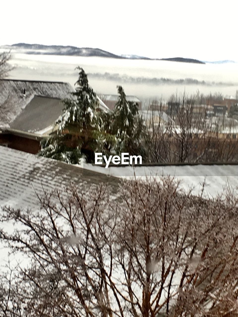 SNOW COVERED LANDSCAPE