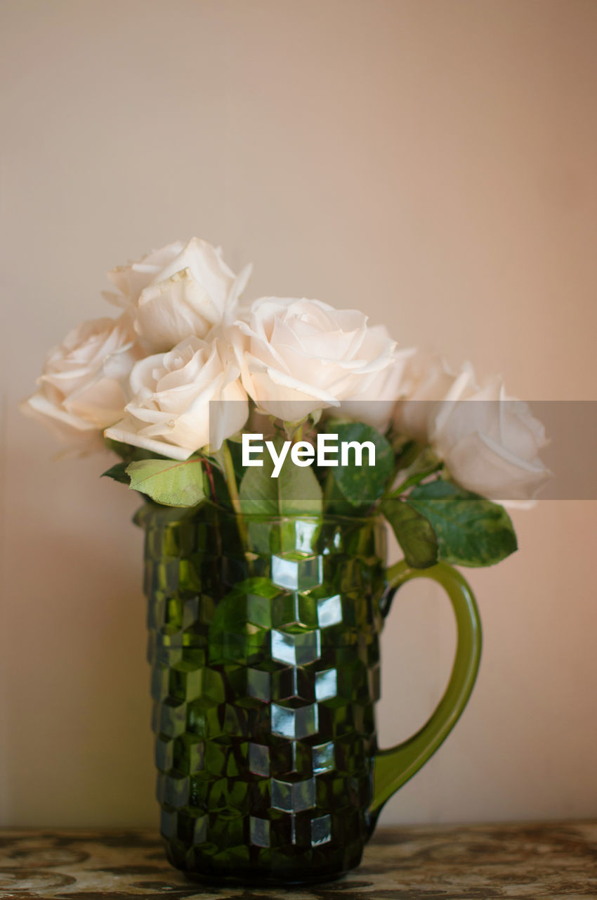 Close-up of white roses in mug on table against wall
