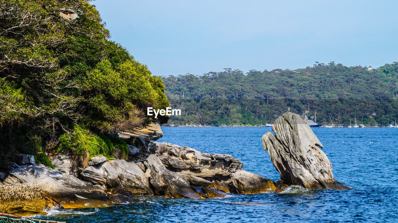 Scenic view of sea and trees against clear sky