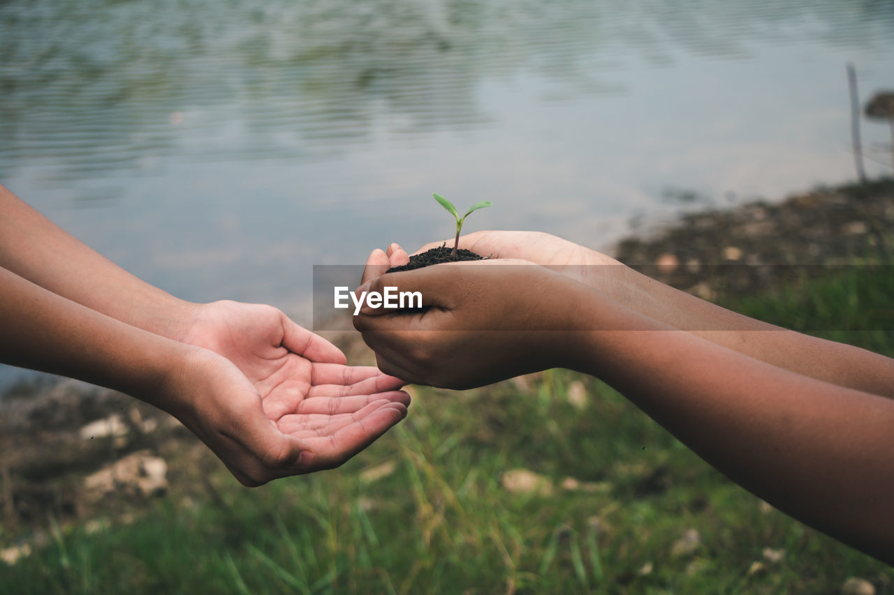 Close-up of cropped hands of person giving seeding to friend by lake