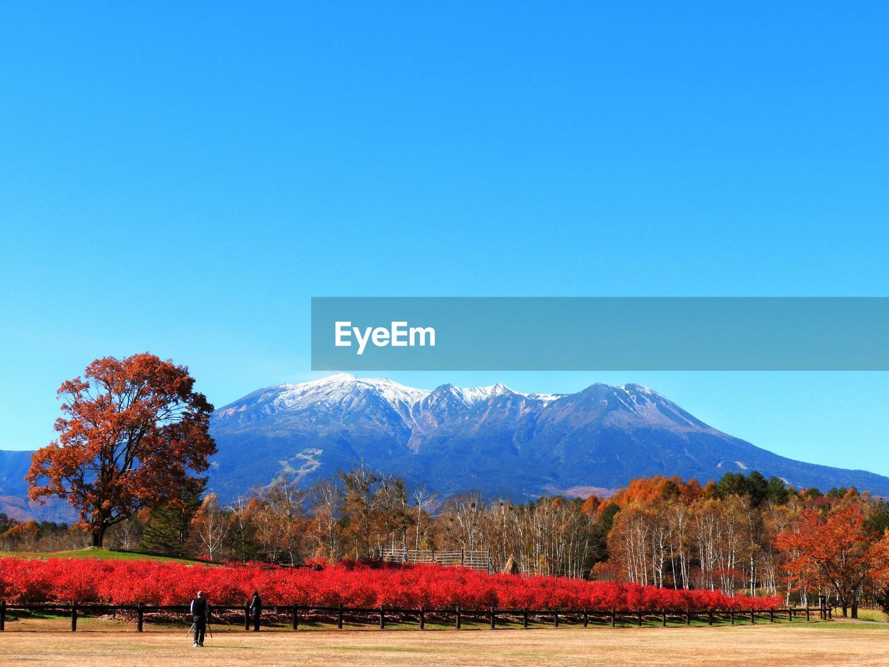 SCENIC VIEW OF LANDSCAPE AGAINST CLEAR BLUE SKY