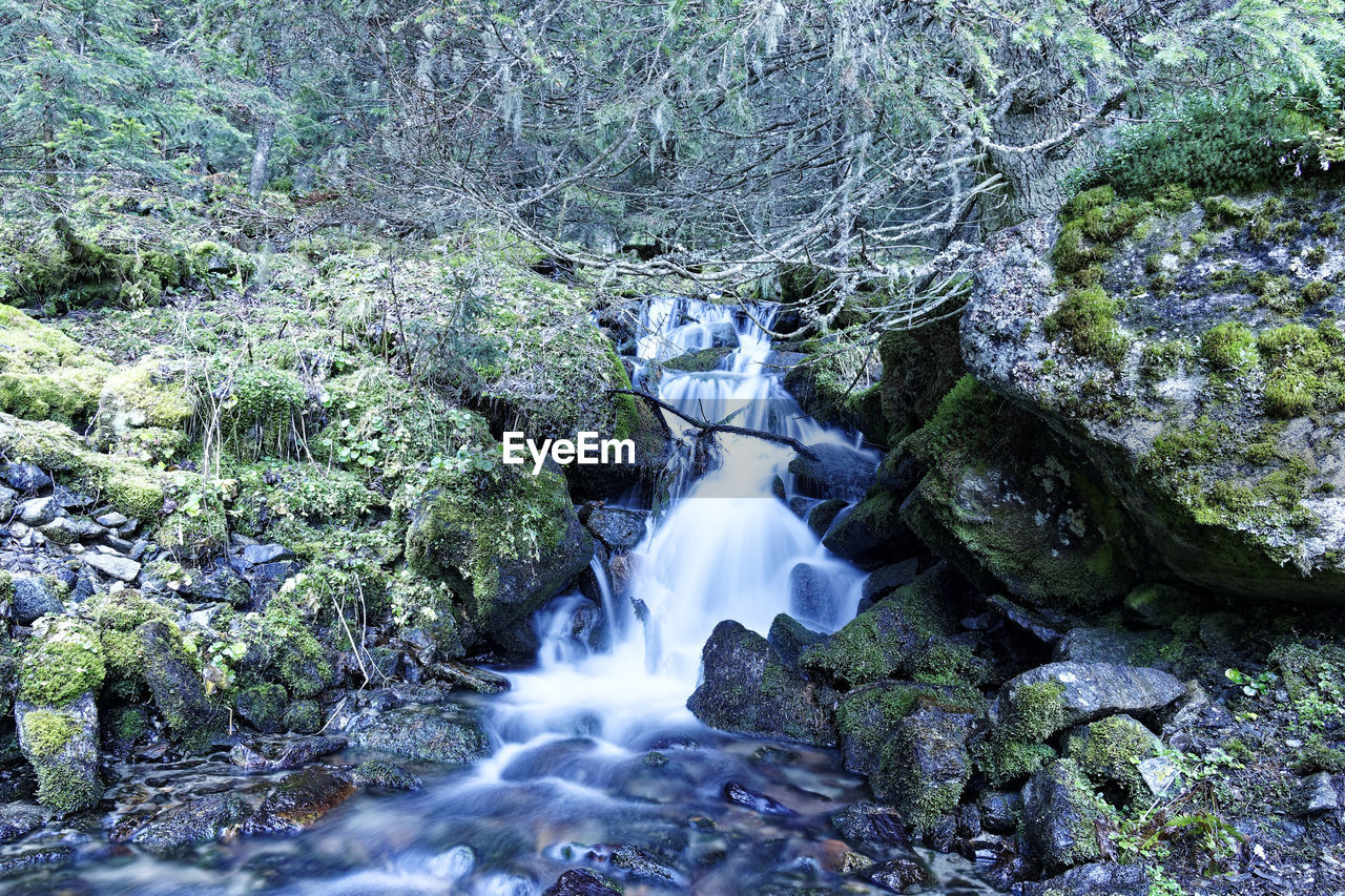 WATER FLOWING THROUGH ROCKS IN FOREST