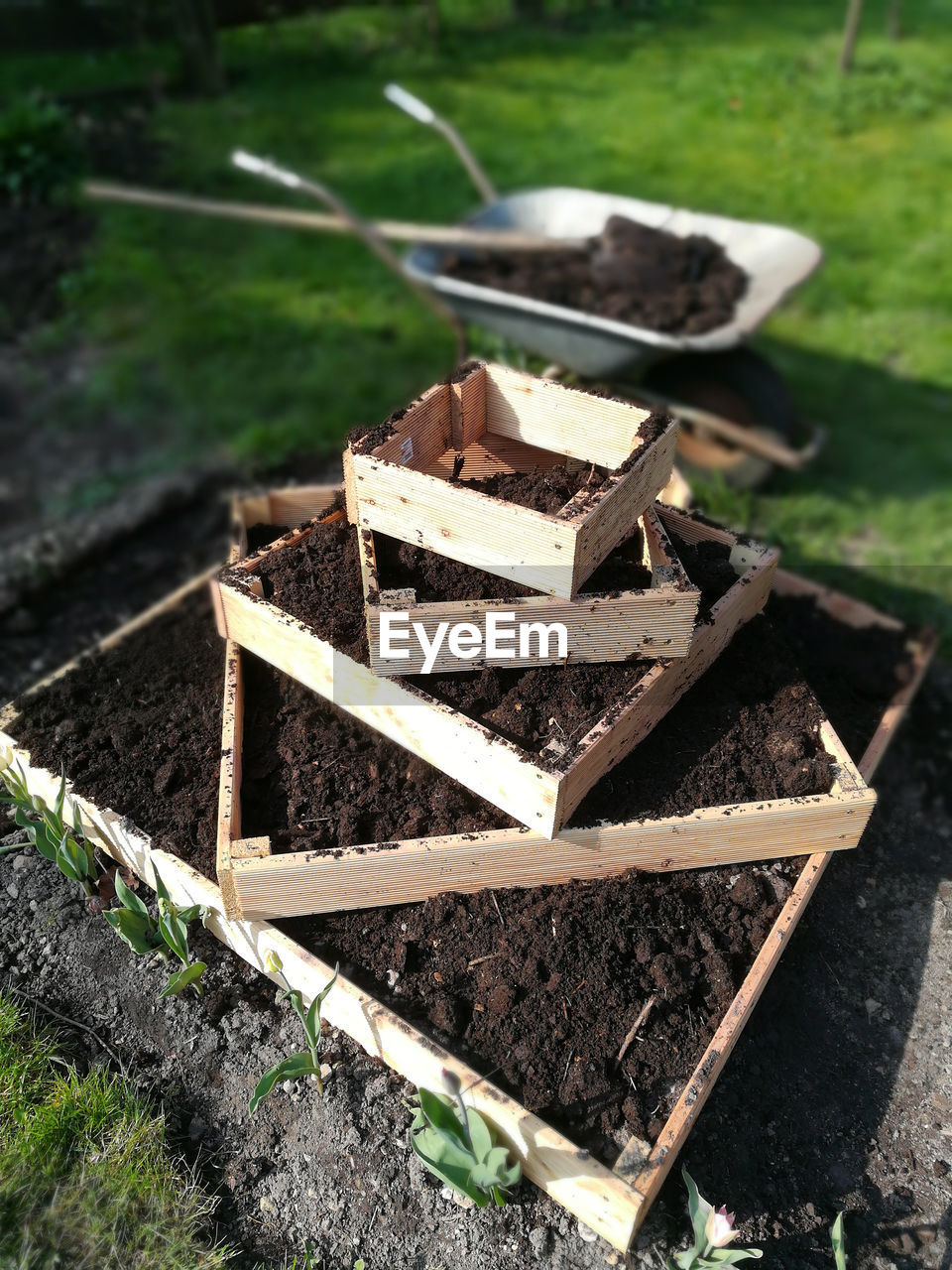 Kartoffelpyramide mit gartenerde befüllen