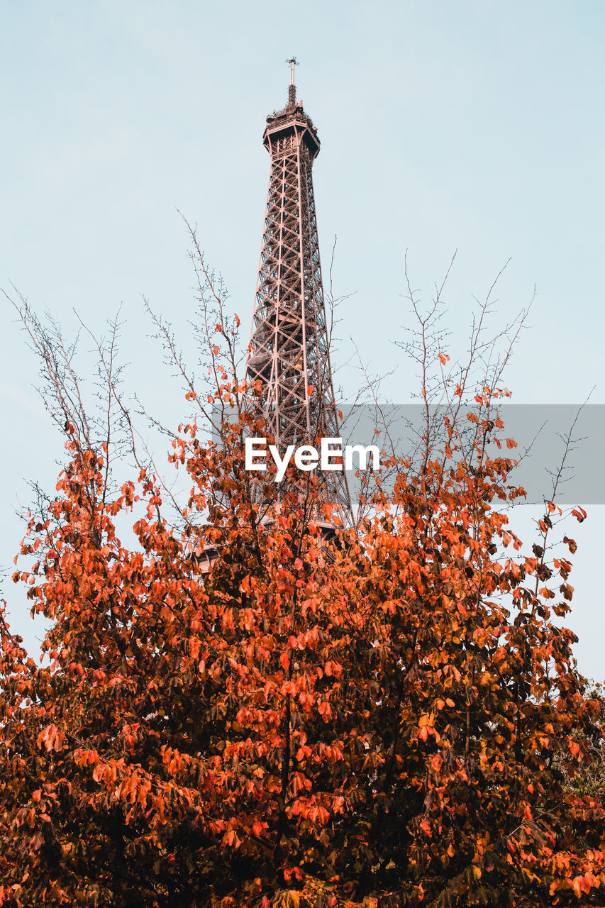 Low angle view of tree against sky and eiffel tower