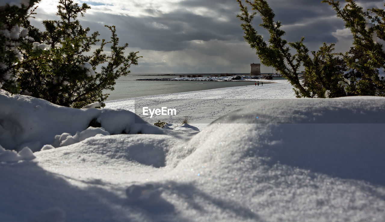 SNOW COVERED LAND AND TREES AGAINST SKY