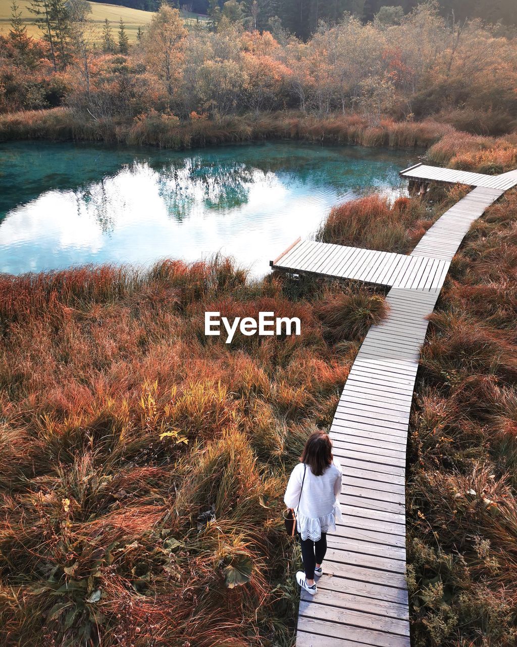 REAR VIEW OF WOMAN STANDING ON LAKE BY TREES