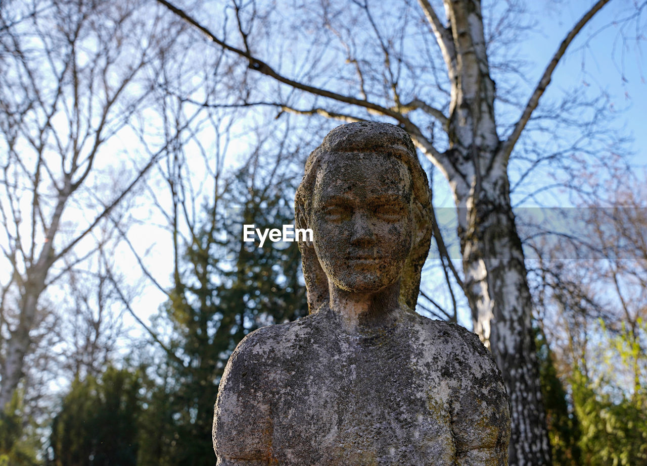 tree, sculpture, statue, human representation, plant, representation, craft, nature, male likeness, religion, monument, no people, bare tree, day, low angle view, spirituality, art, creativity, history, outdoors, belief, branch, architecture, sky, the past, focus on foreground, temple, tranquility