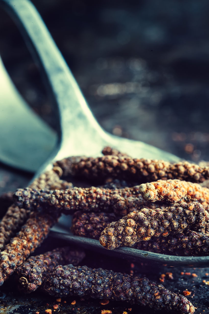 Close-up of long pepper on a spoon