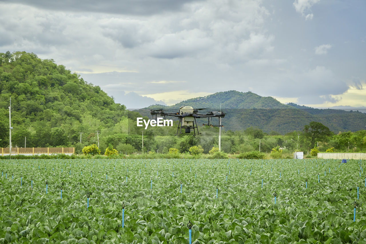 AGRICULTURAL FIELD AGAINST SKY