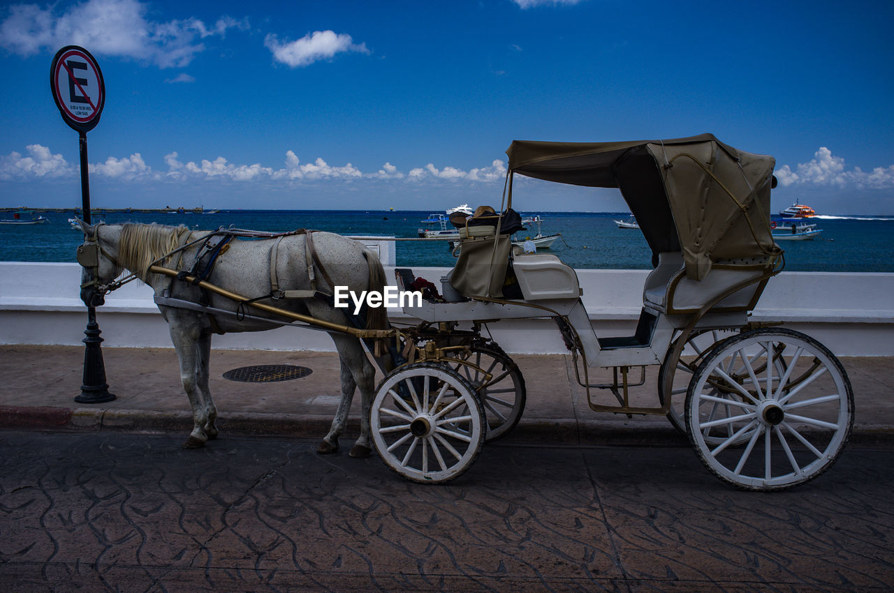 Horse cart by beach