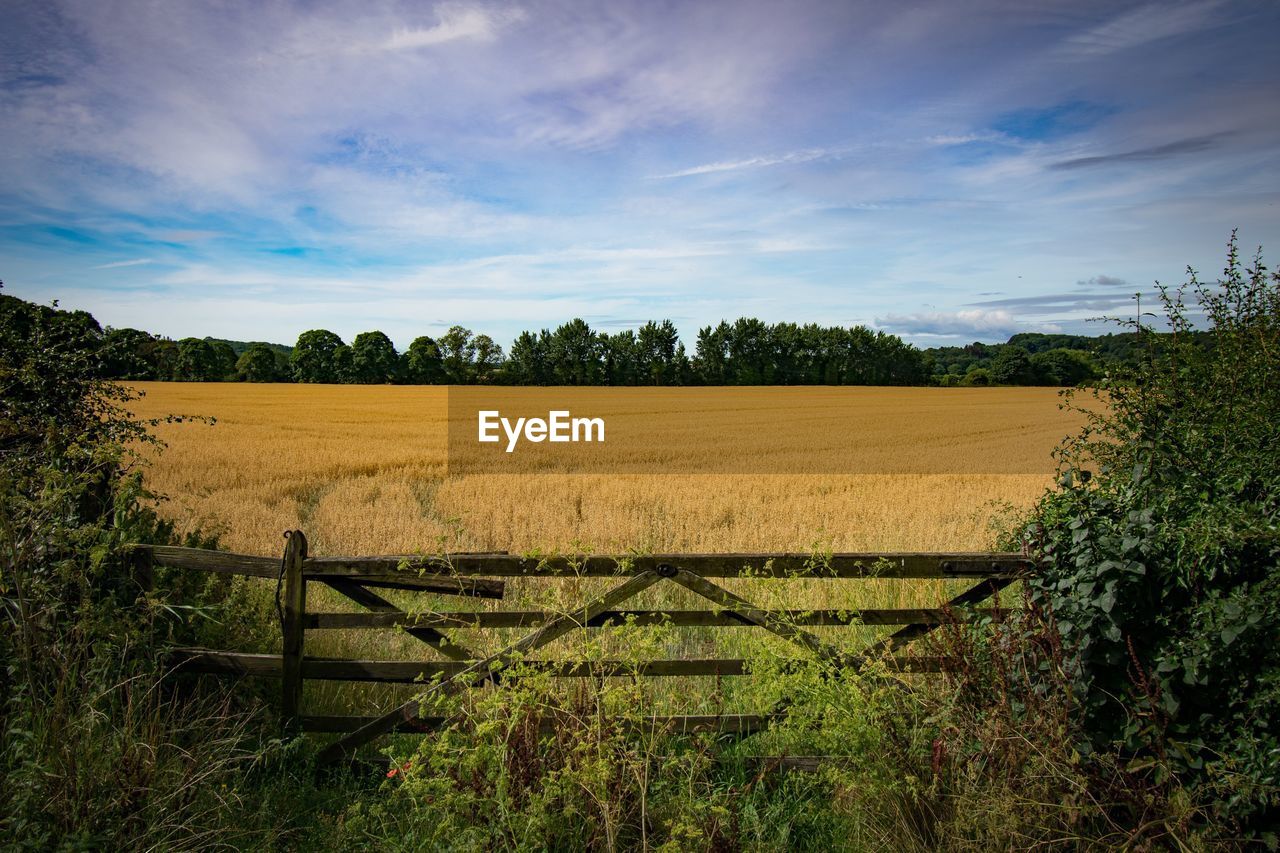 SCENIC VIEW OF FARMS AGAINST SKY