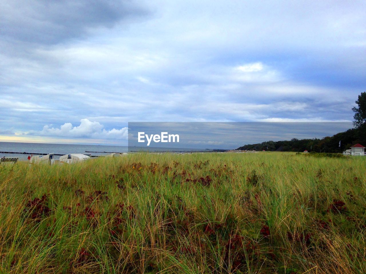 SCENIC VIEW OF LAND AGAINST SKY