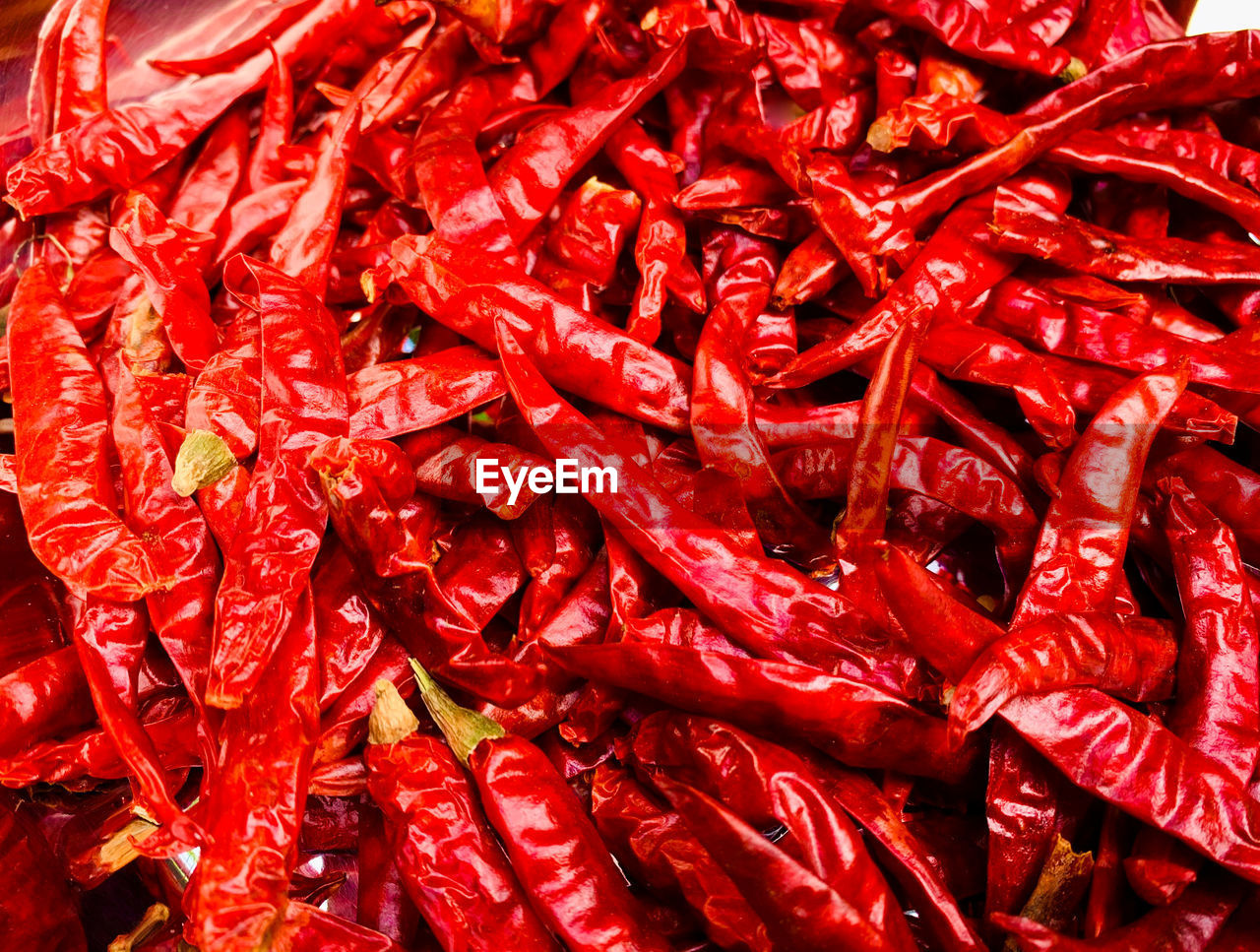 CLOSE-UP OF RED CHILI PEPPERS