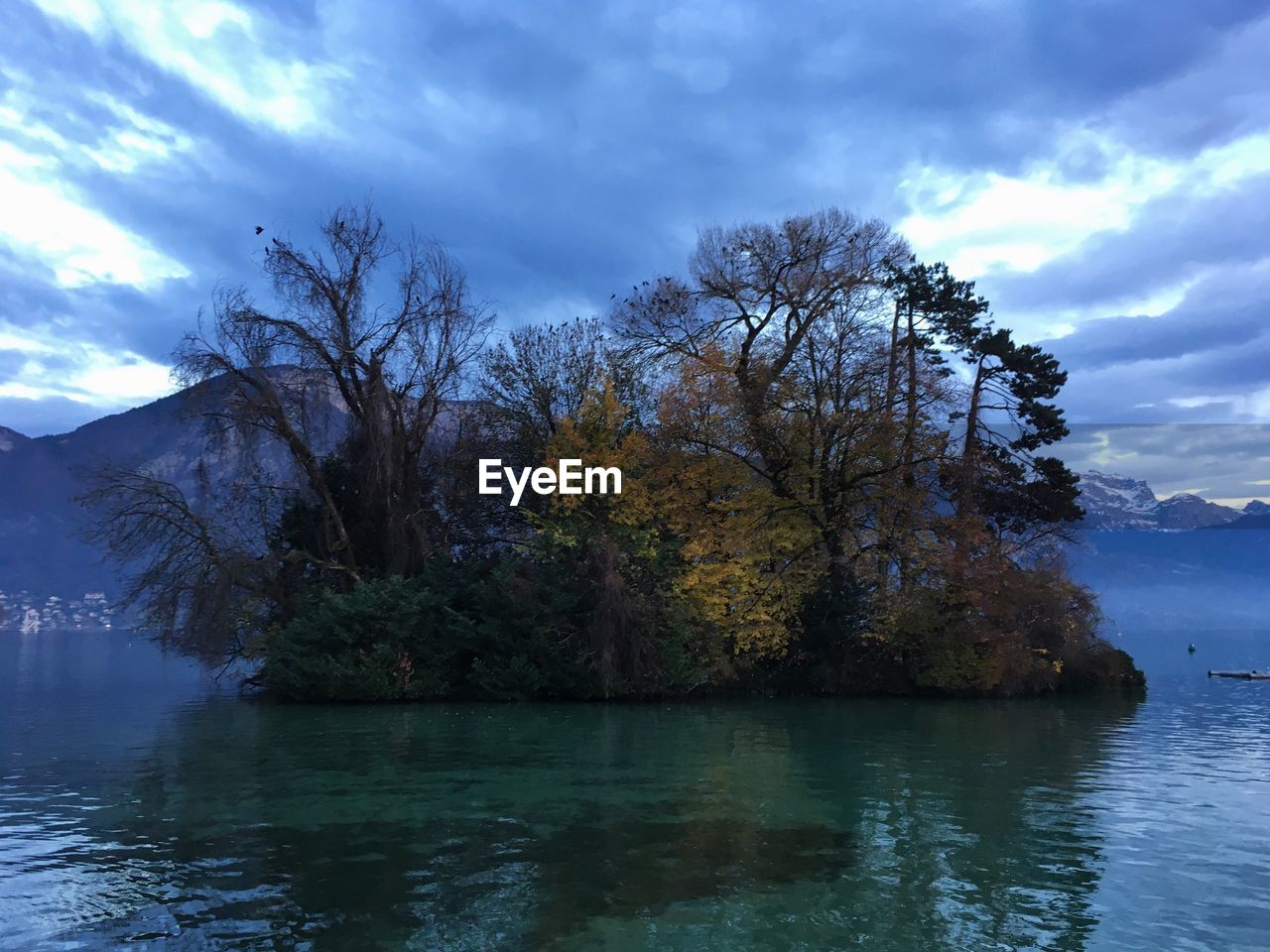 LAKE BY TREES AGAINST SKY