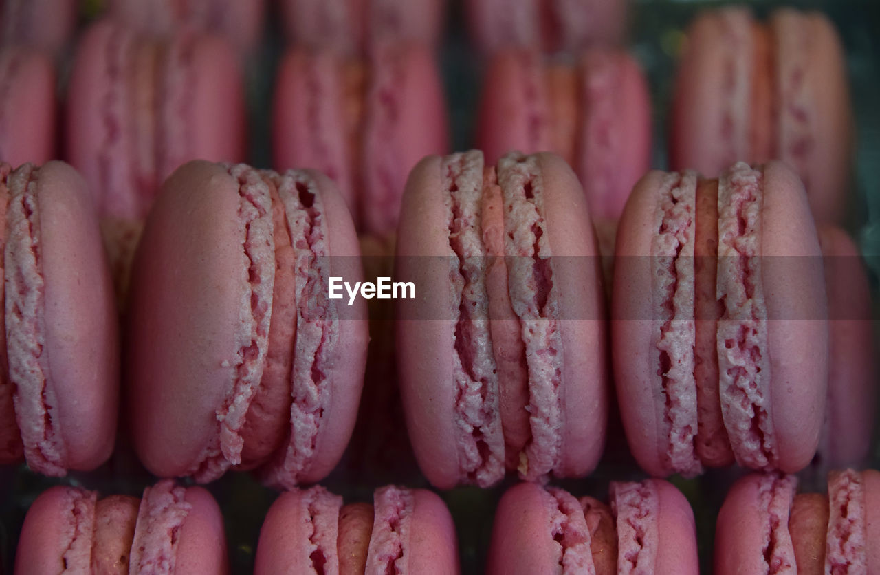 Close-up of pink macaroons