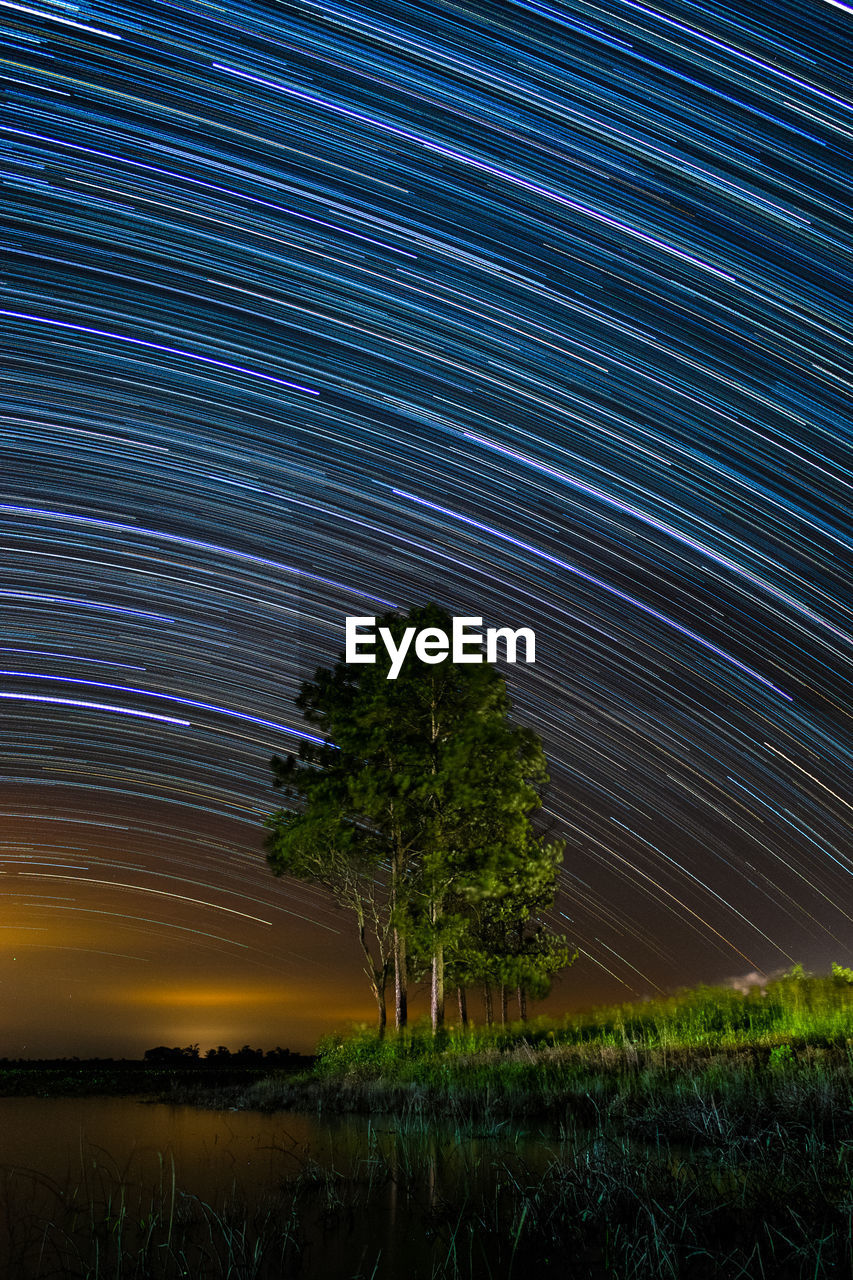 Trees on field against star trail at night