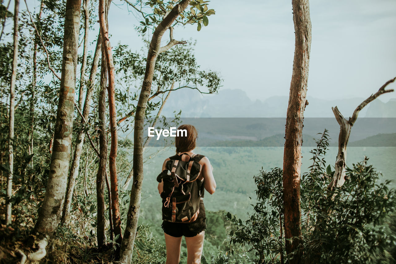 Back view of unrecognizable female hiker with rucksack standing near tall trees above thicket of green jungle in wild nature