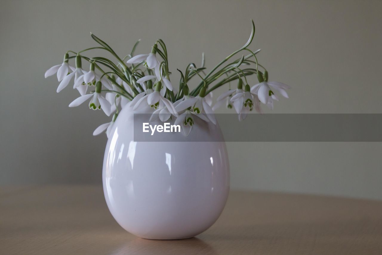 A white vase with snowdrops