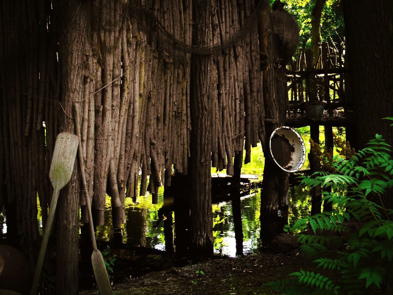 WOODEN TREE TRUNK