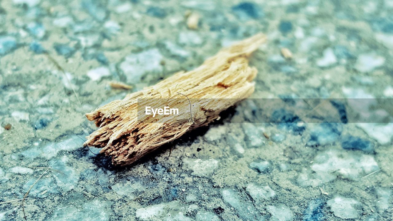 CLOSE UP OF WOOD ON WOODEN SURFACE