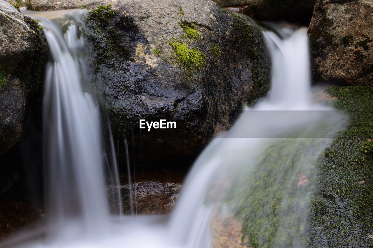 Close-up of water fountain