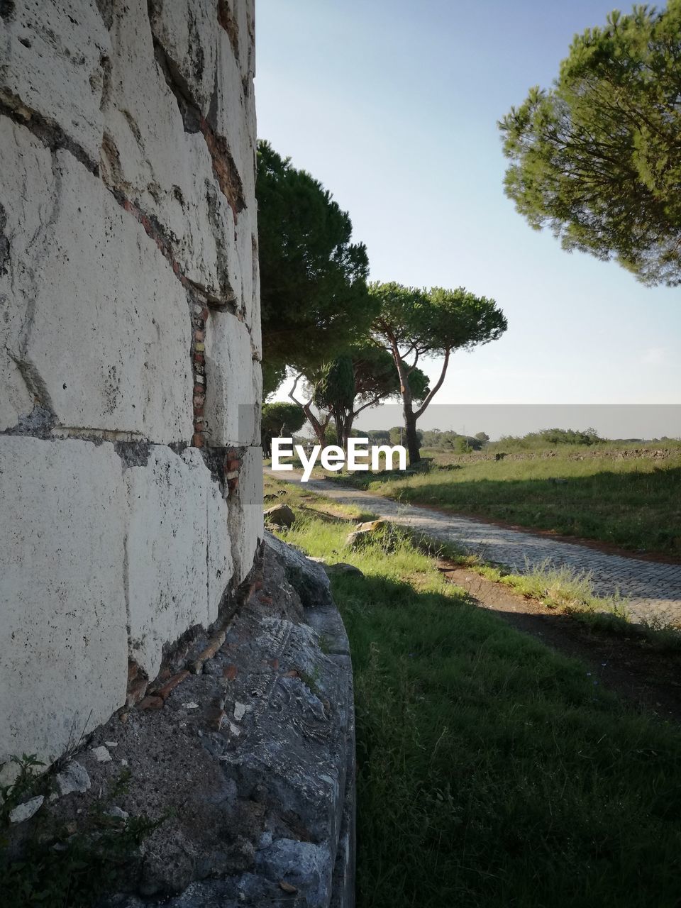 Trees growing on field against sky and ancient building