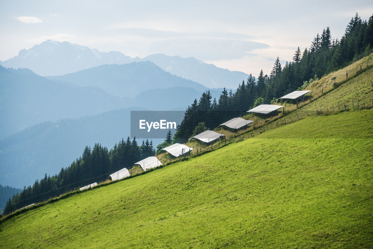 Photovoltaic solar farm located on a mountain slope in the alps. green pasture grass and blue sky