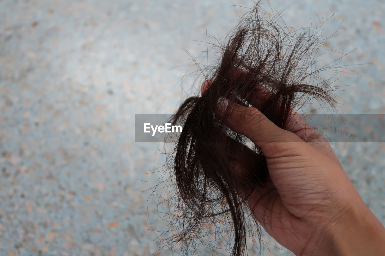 Close-up of cropped hand holding hair