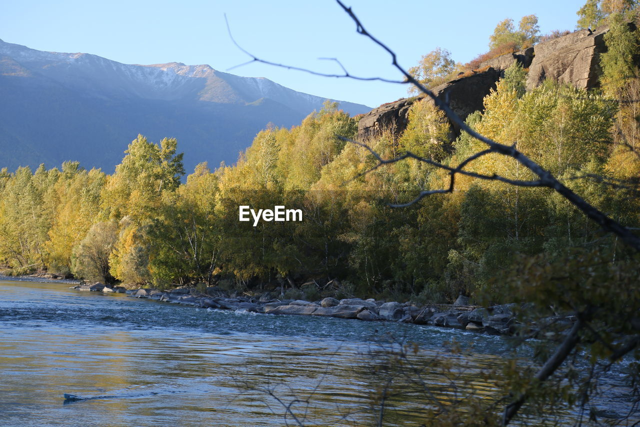 SCENIC VIEW OF RIVER AMIDST TREES AGAINST SKY