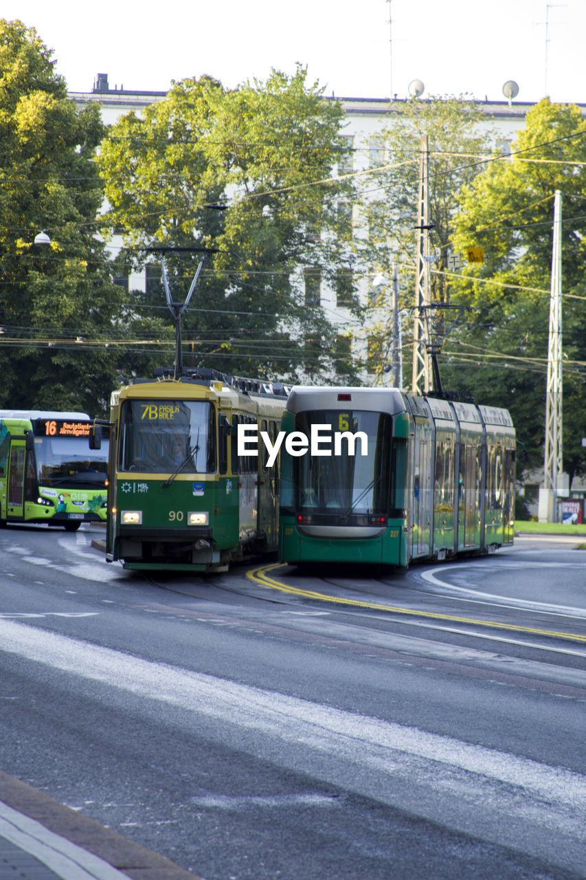 CARS ON ROAD BY TREES