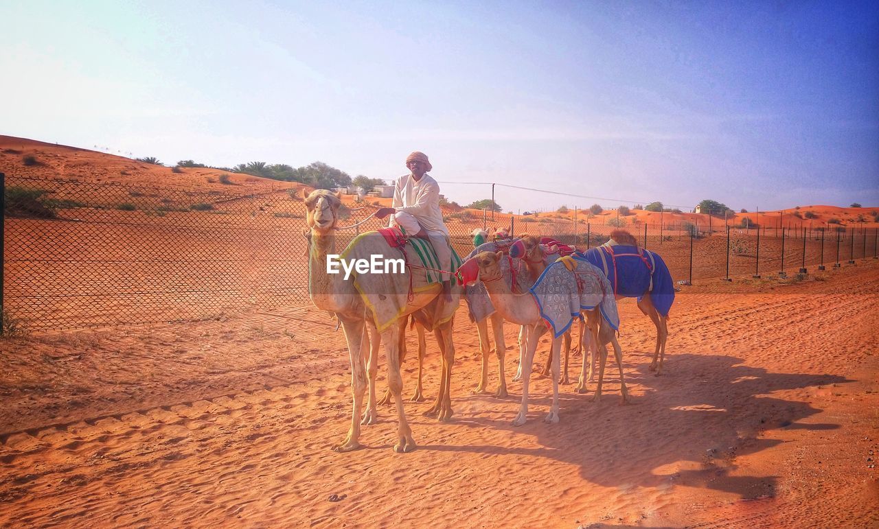 Man riding camel in desert during sunny day