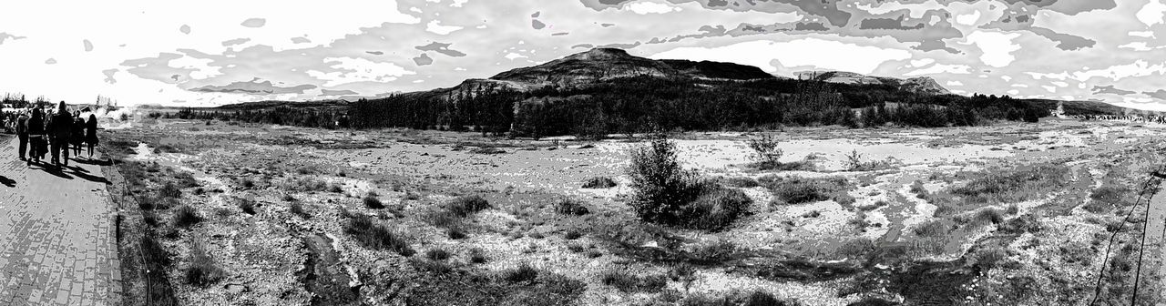 PANORAMIC SHOT OF LAND AND TREES AGAINST SKY