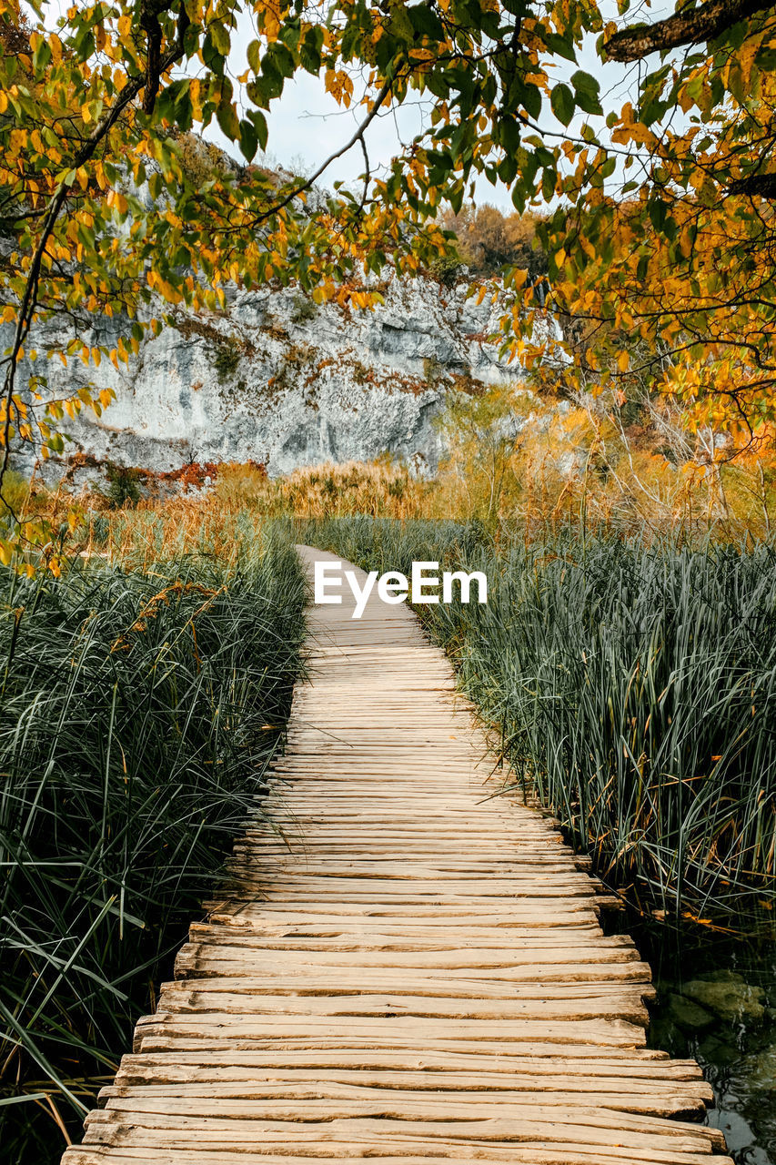 Empty wooden path in idyllic park in autumn